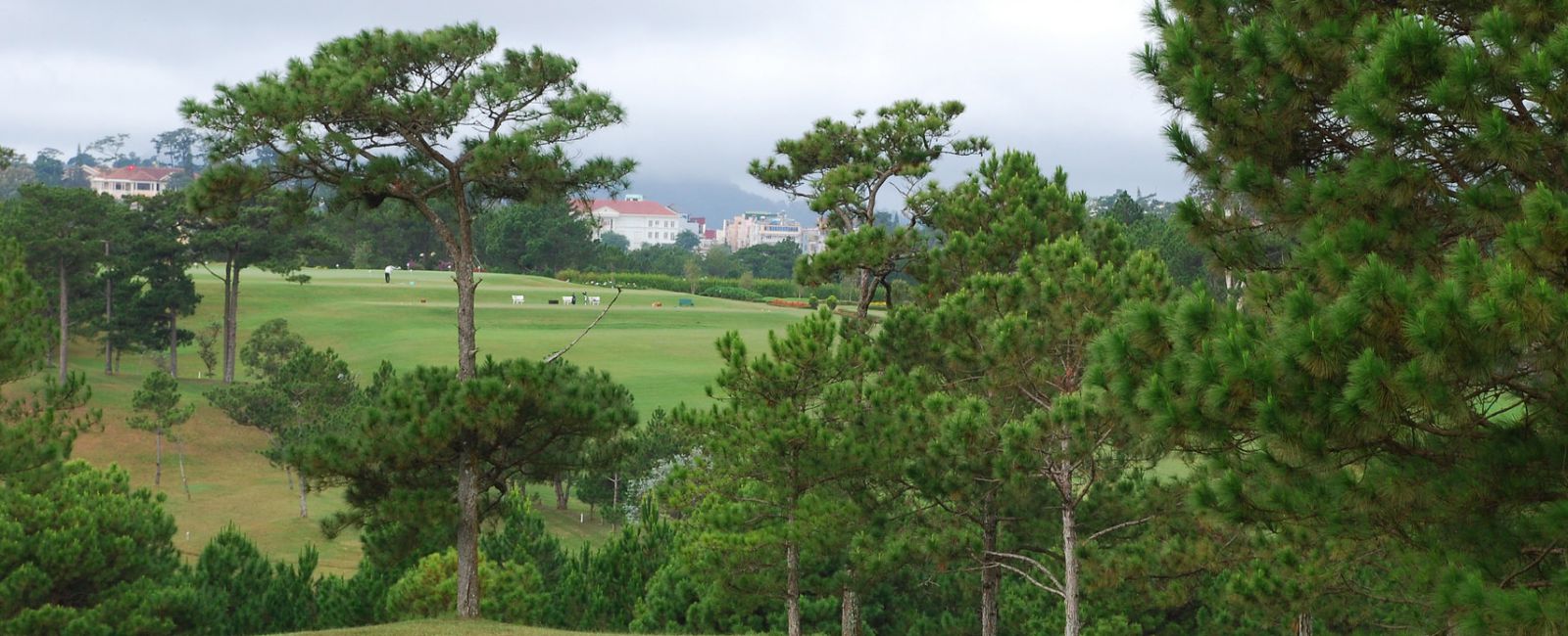 5 Day Golf Dalat and Stay at Palace Heritage Luxury Hotel